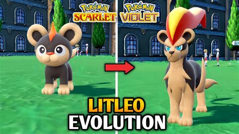 litleo evolution violet|Iba pa.